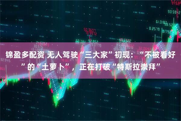 锦盈多配资 无人驾驶“三大家”初现：“不被看好”的“土萝卜”，正在打破“特斯拉崇拜”