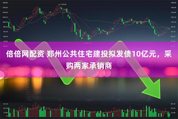 倍倍网配资 郑州公共住宅建投拟发债10亿元，采购两家承销商