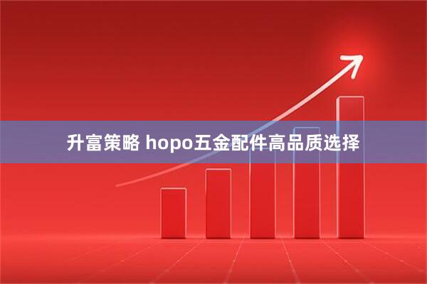 升富策略 hopo五金配件高品质选择