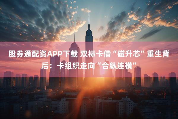 股券通配资APP下载 双标卡借“磁升芯”重生背后：卡组织走向“合纵连横”